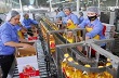 HSBC: Nửa cuối năm sẽ quyết định kinh tế Việt Nam   